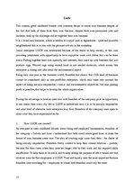 Referāts 'Corporate Social Responsibility: Business Opportunities in Latvia', 13.