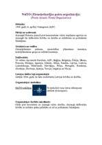 Konspekts 'Starptautiskās organizācijas', 3.