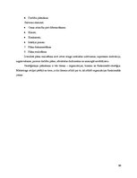 Referāts 'Realizētās mārketinga vadīšanas funkcijas un to pilnveidošana uzņēmumā', 10.