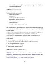 Konspekts 'Nodokļu audits', 20.