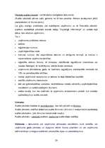 Konspekts 'Nodokļu audits', 24.