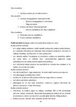 Konspekts 'Nodokļu audits', 46.