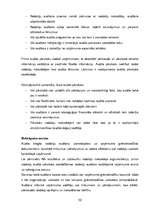 Konspekts 'Nodokļu audits', 50.