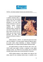 Referāts 'Eiropas Savienības iniciatīvas kuģu satiksmes uzraudzības sistēmu izveidē', 18.