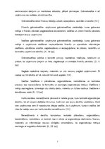 Referāts 'SIA "Islande Hotel" iekšējās vides faktoru analīze', 7.