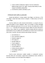 Referāts 'SIA "Islande Hotel" iekšējās vides faktoru analīze', 14.