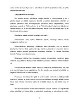 Referāts 'SIA "Islande Hotel" iekšējās vides faktoru analīze', 17.