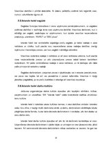 Referāts 'SIA "Islande Hotel" iekšējās vides faktoru analīze', 18.