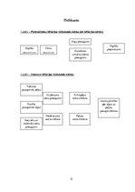 Referāts 'Inflācija par pēdējiem trīs gadiem', 15.