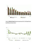 Referāts 'Inflācija par pēdējiem trīs gadiem', 17.