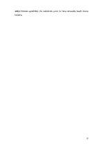 Prakses atskaite 'Mūsdienu mūzikas centrs', 17.