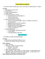 Konspekts 'Gremošanas sistēma', 1.