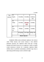 Referāts 'Uzņēmuma "X" mārketinga vides un stratēģijas analīze', 16.