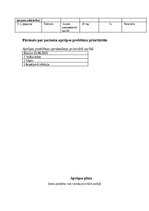 Prakses atskaite 'Aprūpes plāns', 4.