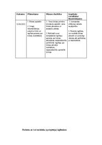 Prakses atskaite 'Aprūpes plāns', 6.