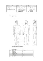 Prakses atskaite 'Aprūpes plāns', 7.