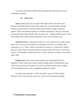 Referāts 'Zviedrija', 7.