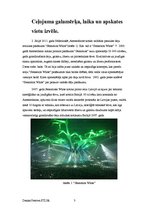 Referāts 'Individuāla ceļojuma organizēšana', 3.