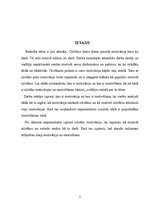 Referāts 'Motivācija vai motivēšana: atšķirības', 3.