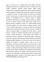 Referāts 'Motivācija vai motivēšana: atšķirības', 5.