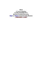 Eseja 'Oļiņš un Oļiņiete brāļu Kaudzīšu romānā "Mērnieku laiki"', 1.