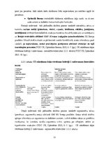 Diplomdarbs 'Diferencēti norādījumi 5. klases skolēnu stāstu rakstīšanas prasmju attīstībai a', 22.