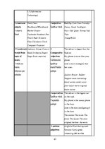 Diplomdarbs 'Diferencēti norādījumi 5. klases skolēnu stāstu rakstīšanas prasmju attīstībai a', 63.