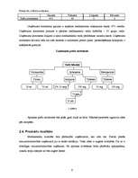 Biznesa plāns 'SIA "Farmakon"', 9.