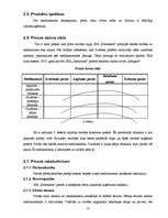Biznesa plāns 'SIA "Farmakon"', 10.