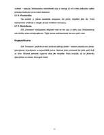 Biznesa plāns 'SIA "Farmakon"', 11.