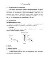 Biznesa plāns 'SIA "Farmakon"', 12.