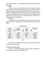 Biznesa plāns 'SIA "Farmakon"', 14.