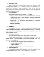 Biznesa plāns 'SIA "Farmakon"', 15.