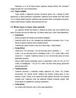 Biznesa plāns 'SIA "Farmakon"', 16.