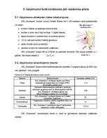 Biznesa plāns 'SIA "Farmakon"', 23.
