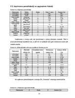 Biznesa plāns 'SIA "Farmakon"', 24.