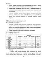 Biznesa plāns 'SIA "Farmakon"', 28.