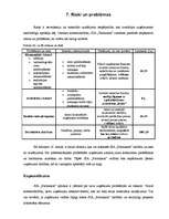 Biznesa plāns 'SIA "Farmakon"', 30.