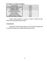 Biznesa plāns 'SIA "Farmakon"', 33.