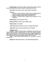 Diplomdarbs 'Dabaszinību satura integrēšana rotaļās sporta stundās', 5.