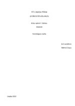 Konspekts 'Krāsu epiteti F.Bārdas dzejā', 1.