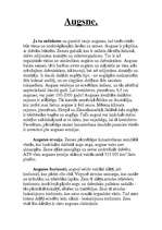 Referāts 'Augsne', 2.