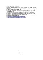 Referāts 'Vizionārā jaunrade', 8.