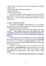 Referāts 'Eiropas Savienība', 12.