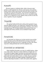 Konspekts 'Sabiedrības slāņi', 3.