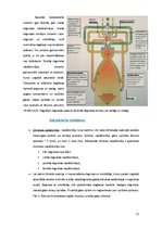 Referāts 'Reaktīvā kustība', 11.