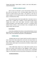 Referāts 'Reaktīvā kustība', 14.