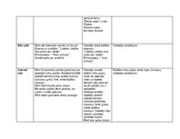 Konspekts 'Patstāvīgais darbs – izvērsts dienas plānojums (Mūzikas metodikā)', 4.