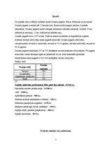 Prakses atskaite 'Valsts profesionālā prakse sociālās palīdzības organizēšanā', 3.