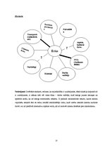 Prakses atskaite 'Valsts profesionālā prakse sociālās palīdzības organizēšanā', 18.